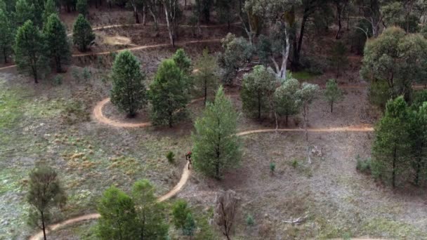 Drone Seguindo Fêmea Mountain Biker Através Trilhas Terra Sinuosa Austrália — Vídeo de Stock