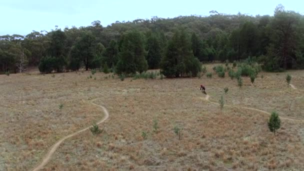 Drone Rastreamento Feminino Mountain Biker Longo Trilhas Austrália — Vídeo de Stock
