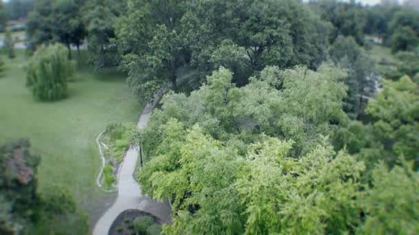 Aerial Focused Jogger Wet Pathway — Vídeo de Stock