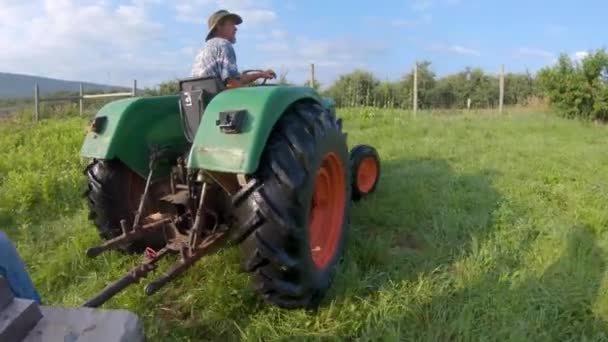 Agricultor Conduciendo Tractor Través Huerto Melocotones Preparándose Para Recoger Durante — Vídeo de stock