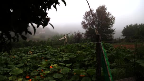 Jour Création Potager Avec Épouvantail Montagnes Brouillard Nuages Maisons Arbres — Video