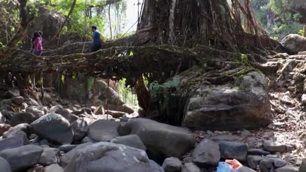 Lebendige Route Brücke Die Von Der Natur Wäldern Aus Flachem — Stockvideo