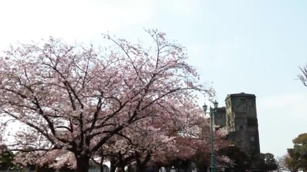 요코하마에서 — 비디오