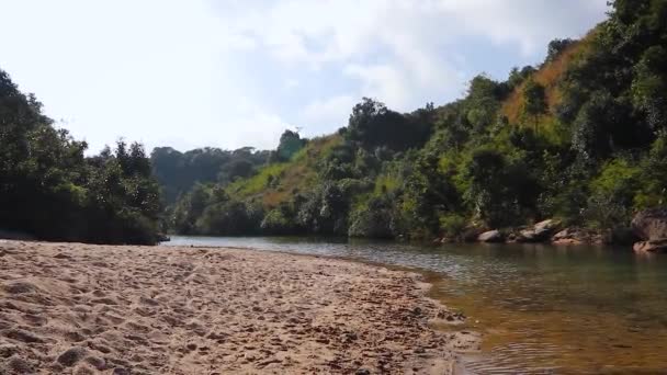 Nehir Akan Yeşil Orman Parlak Mavi Gökyüzü Sabah Düz Açıyla — Stok video
