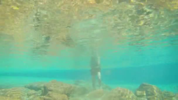 Junger Mann Spaziert Blauem Klarem Wasser Unter Wasserfall Mit Vielen — Stockvideo