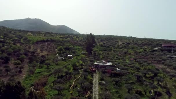 Foto Descendente Aérea Mostrando Familia Antiguo Huerto Rodeado Campos Agrícolas — Vídeos de Stock