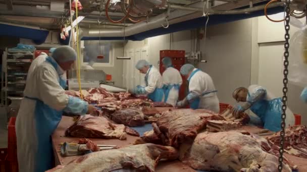 Group Butchers Cutting Pieces Meat Carcasses Meat Processing Plant — Vídeo de Stock