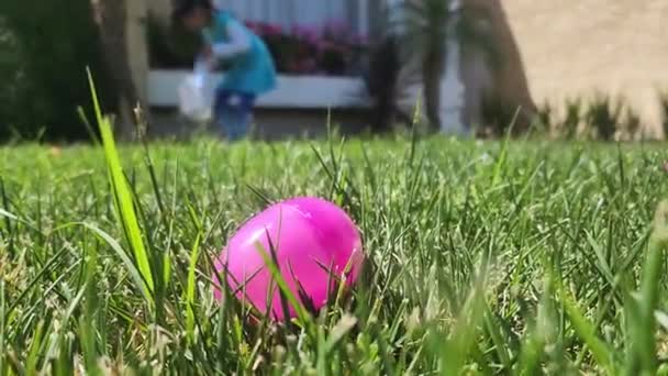 Plastic Pink Easter Egg Placed Front Yard Grass Lawn — Video Stock