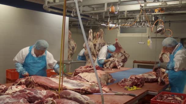 Pan Group Butchers Cutting Pieces Meat Carcasses Meat Processing Plant — Vídeo de Stock