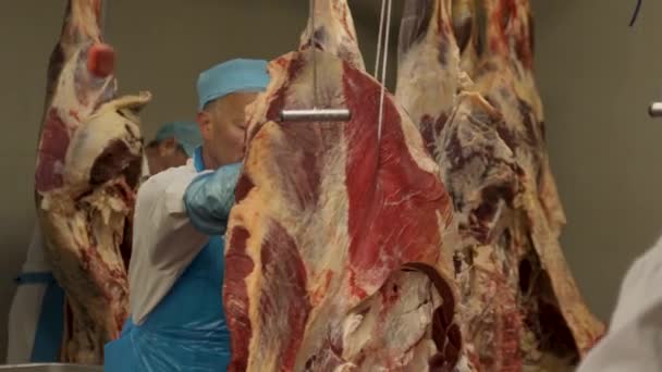 Açougueiro Colocando Grande Placa Carne Mesa Processamento — Vídeo de Stock