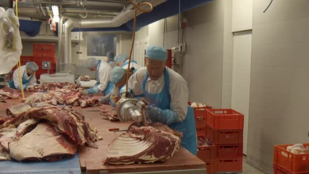 Slow Motion Shot Butcher Using Electric Saw Cut Piece Meat — Vídeo de Stock