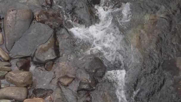 Primer Plano Del Agua Que Fluye Través Las Rocas — Vídeos de Stock