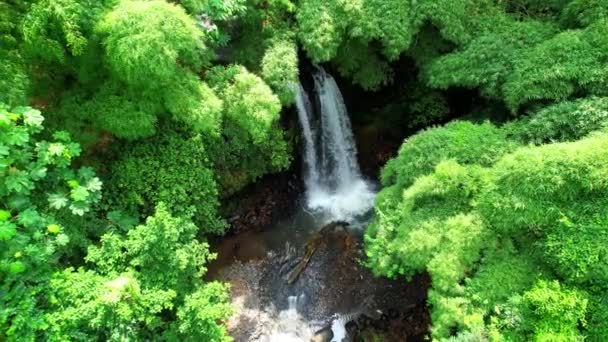 Flying Gold Ouro Falls Roca Agostinho Neto Sao Tome Principe — Stock Video