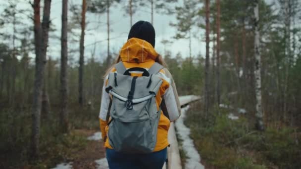 Egy Sétál Erdőben Olvad Oldalán — Stock videók