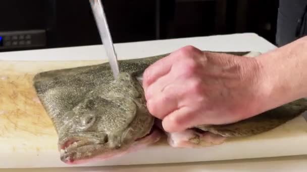Cook Filleting Raw Turbot Cutting Board Professional Kitchen — Stock Video