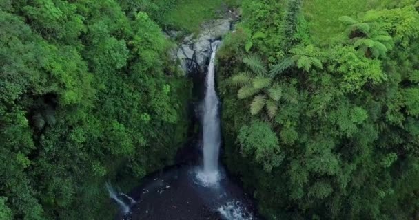 Vodopád Řeka Obklopen Stromy Trávou Dopoledních Hodinách Kedung Kayang Waterfall — Stock video