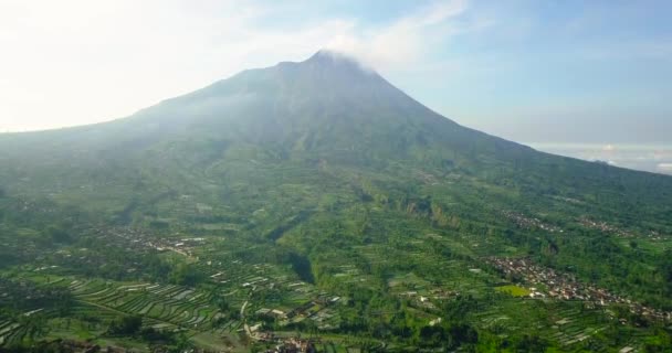 ブロッコリー キャベツ ジャガイモと緑のタマネギ 中央ジャワ インドネシアで植えられたプランテーションの田園風景を持つメラピ火山 農業産業です 4Kプランテーションの空中ビュー — ストック動画