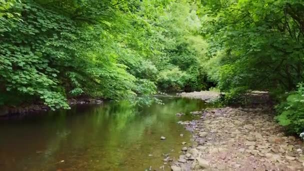 Escena Del Río Woodland Filmada Parque Nacional Derbishire Peak District — Vídeo de stock