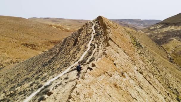 Δραματικό Drone Shot Του Πεζοπόρου Στην Έρημο Πόδια Κατά Μήκος — Αρχείο Βίντεο