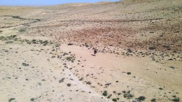 Luftumlauf Und Überflug Des Wanderers Auf Wüstenpfad Der Sonnigen Tagen — Stockvideo