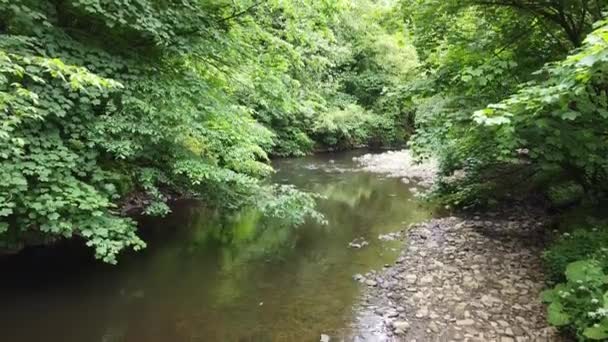 在德比夏尔山区无人机镜头中拍摄的林地河流场景 向前移动 并有徒步者在右侧行走 — 图库视频影像