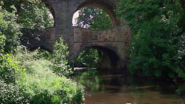 Rzeka Goyt New Mills Kamiennym Łukowym Mostem Tle Zastrzelony Parku — Wideo stockowe