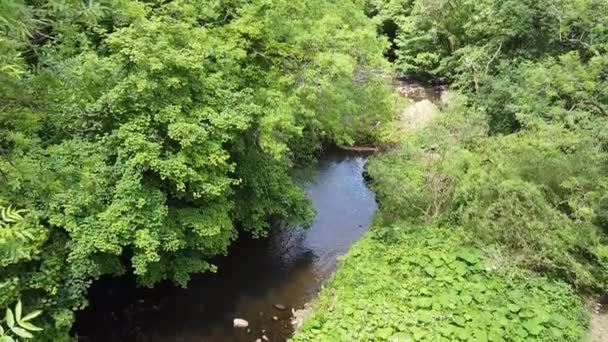 Cena Rio Woodland Filmada Derbishire Peak District Drone — Vídeo de Stock