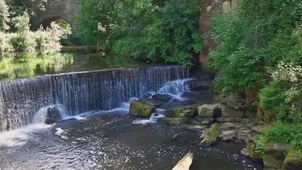 Kis Vízesés Kőíves Híddal Háttérben Lelőtték Derbishire Peak District Nemzeti — Stock videók