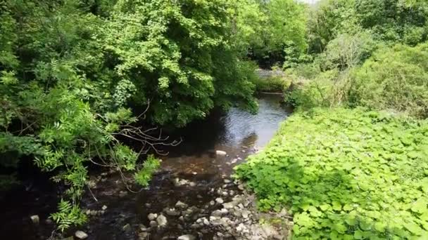 Woodland River Scene Filmed Derbishire Peak District Drone Footage Paning — Stockvideo