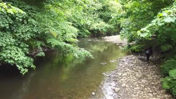 Woodland River Scene Filmed Derbishire Peak District Drone Footage Forward — Stockvideo