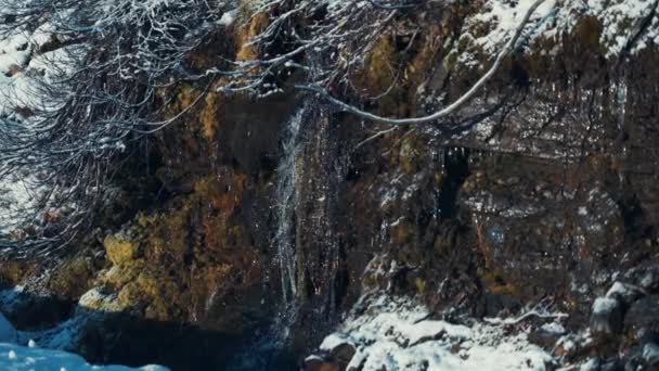 第一场雪覆盖在矮小的灌木丛之上 岩石上靠近小河的枯草凋零 慢动作 — 图库视频影像