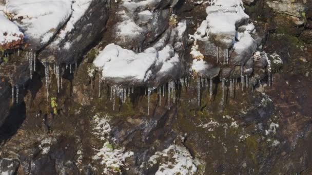 覆盖着苔藓的石头上挂着薄薄的 脆弱的冰柱 慢动作 向右转 — 图库视频影像