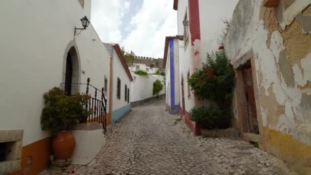 Flowers Growing Pots Placed One Many Streets Castle Bidos — Vídeos de Stock