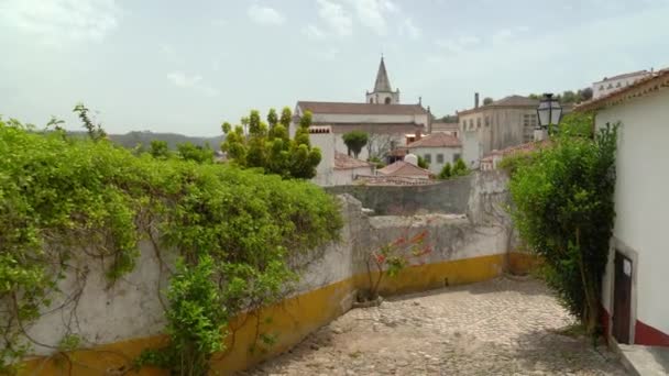 Lianas Hanging Walls One Many Houses Castle Bidos — Stockvideo