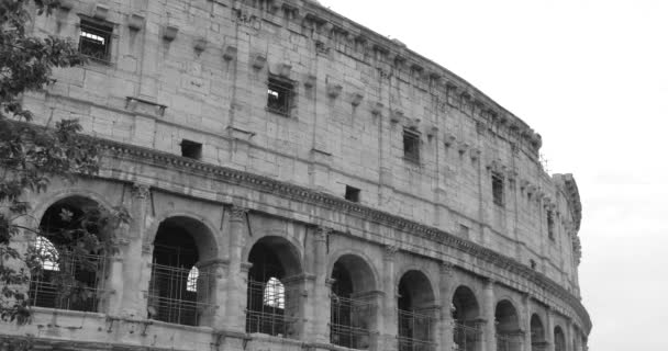 Black White Colosseum Amphitheatre Facade Exterior Rome Italy Tilt — Stockvideo