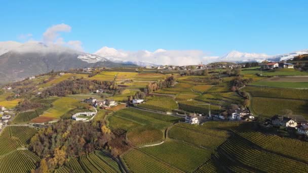 Drone Aéreo Sobre Vinhas Outono Novacella Neustift Tirol Sul — Vídeo de Stock