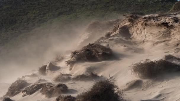 Strong Winds Blowing Sand Sand Dune — Vídeo de stock