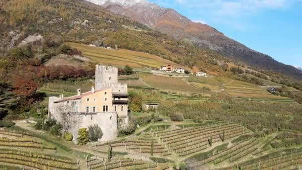 Drone Aéreo Sobre Castelo Medieval Meio Das Vinhas Itália — Vídeo de Stock