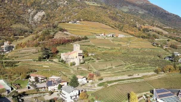 Drone Aereo Sopra Castello Medievale Mezzo Vigneti Italia — Video Stock