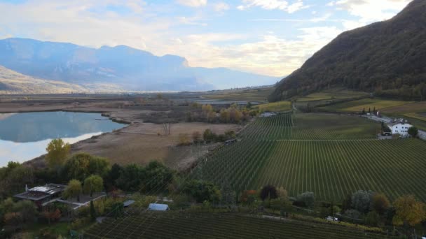 Drone Aéreo Sobre Vinhas Sobre Lago Caldaro Outono Sul Tirol — Vídeo de Stock