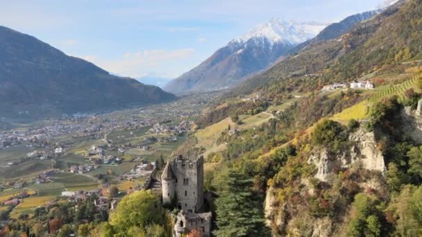 Drohne Über Einer Mittelalterlichen Burg Inmitten Der Weinberge Italien — Stockvideo