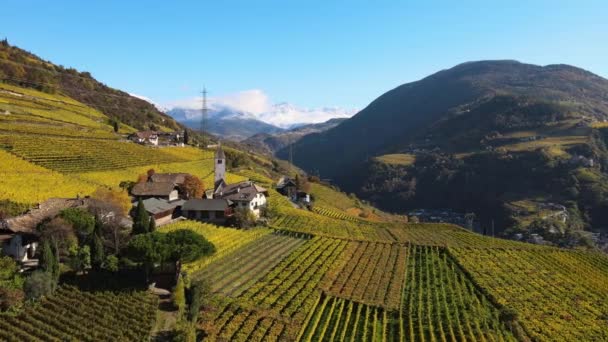 Luchtdrone Wijngaarden Kerk Van Magdalena Herfst Bolzano Alto Adige Italië — Stockvideo