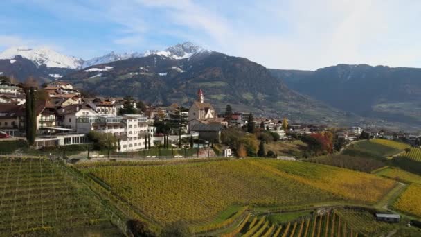 Drohne Über Einer Mittelalterlichen Stadt Inmitten Der Weinberge Italien — Stockvideo