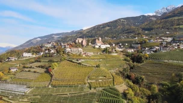 Drohne Über Einer Mittelalterlichen Burg Inmitten Der Weinberge Italien — Stockvideo