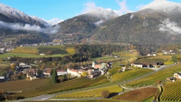 Aerial Drone Vineyards Autumn Novacella Neustift South Tyrol — Stock Video