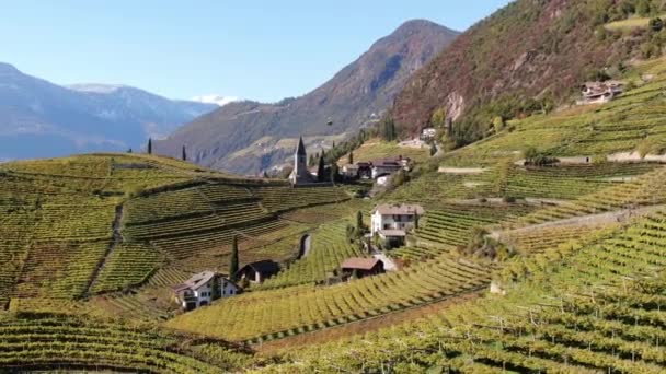 Aerial Drone Vineyards Church Magdalena Autumn Bolzano Alto Adige Italy — Stock Video