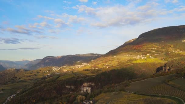 Aerial Drone Vineyards Massive Valley Autumn South Tyrol — 비디오