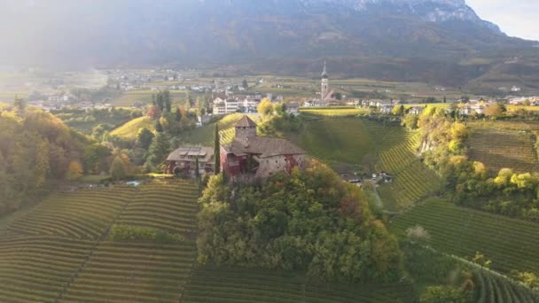 Aerial Drone Video Medieval Castle Middle Vineyards Italian Alps — Stock Video