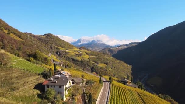 Flygdrönare Över Vingårdarna Hösten Ritten Alto Adige Italien — Stockvideo