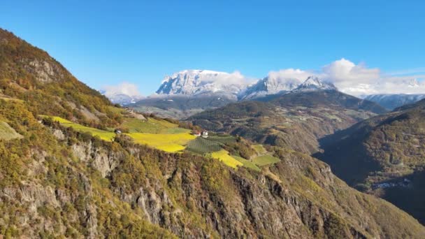 Aerial Drone Vineyards Autumn Ritten Alto Adige Italy 보이는 산이다 — 비디오